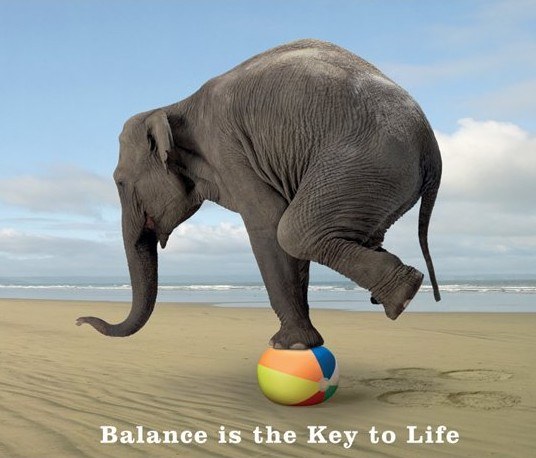 Elephant Balancing on a Ball at the Beach